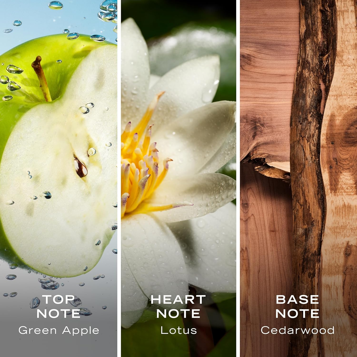 Nautica Voyage Eau De Toilette Spray 100ML